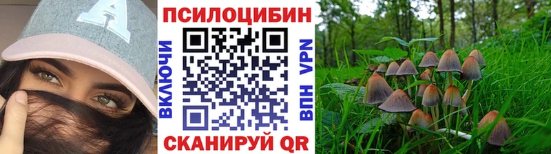 Псилоцибиновые грибы Psilocybine cubensis  где купить   Чухлома 